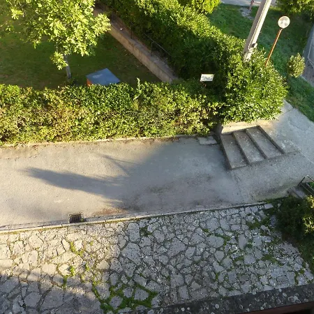 Amadeus Pinolo * 古比奥